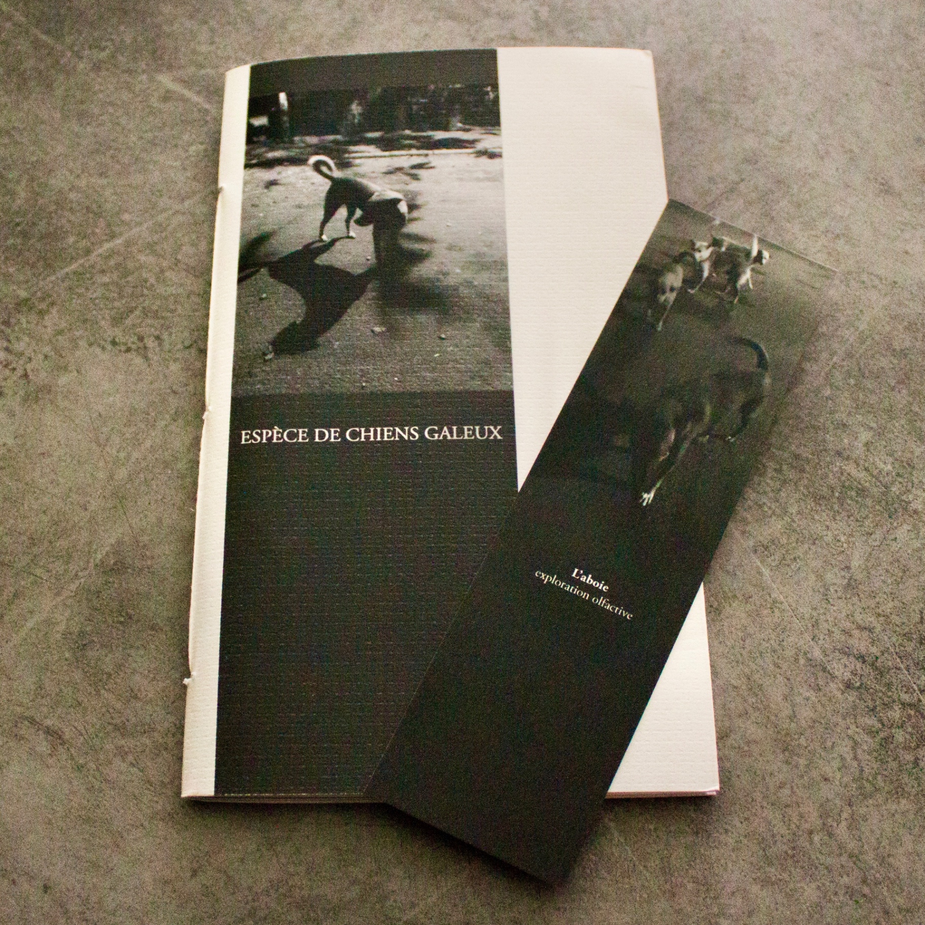 Espèce de Chiens Galeux — couverture